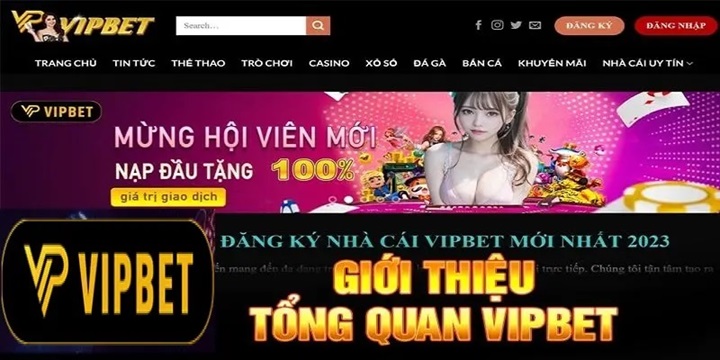 Thông tin quan trọng cần biết về Vipbet