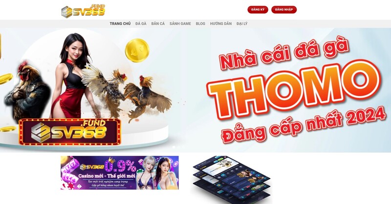 Giới thiệu không gian cược của nhà cái sv368